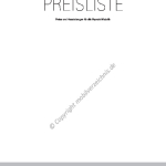 2004-09_preisliste_hyundai_accent.pdf