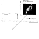 1994-12_preisliste_lancia_y10.pdf