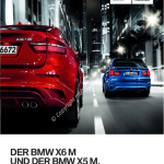 2010-10_preisliste_bmw_x5m.pdf