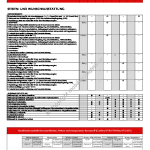 2006-02_ausstattung_citroen_c2.pdf